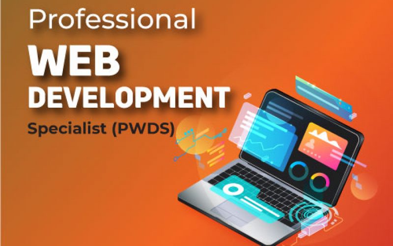 Professional-Web-development